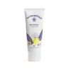 Nutricentials Brighter Day Exfoliant Scrub